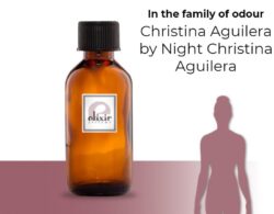 Christina Aguilera by Night Christina Aguilera