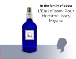Άρωμα Τύπου L'Eau d'Issey Pour Homme, Issey Miyake