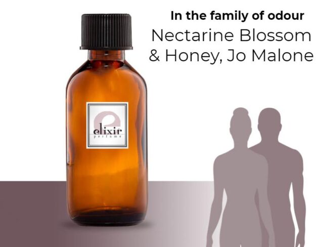 Nectarine Blossom & Honey, Jo Malone
