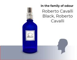 Άρωμα Τύπου Roberto Cavalli Black, Roberto Cavalli