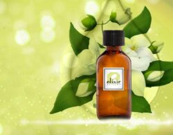 Unisex Massage Oils