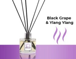 Black Grape & Ylang Ylang