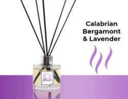 Calabrian Bergamont & Lavender