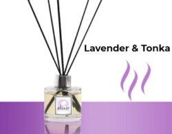 Lavender & Tonka