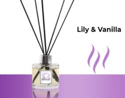 Lily & Vanilla