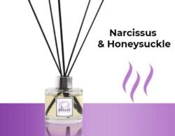 Narcissus & Honeysuckle