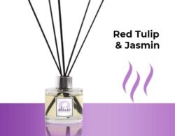 Red Tulip & Jasmin