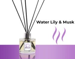 Water Lily & Musk