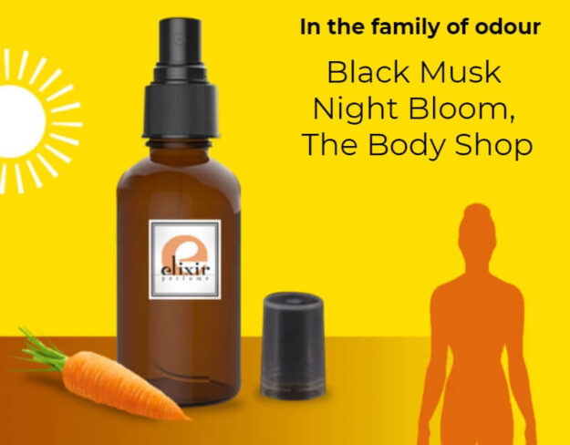 Black Musk Night Bloom, The Body Shop