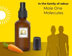 Mole One Molecules