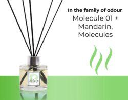 Molecule 01 + Mandarin, Molecules