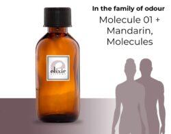 Molecule 01 + Mandarin, Molecules