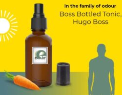 Boss Bottled Tonic, Hugo Boss