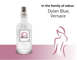 Body Mist Τύπου Dylan Blue, Versace