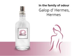 Body Mist Τύπου Galop d’ Hermes, Hermes