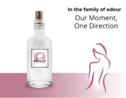 Body Mist Τύπου Our Moment, One Direction