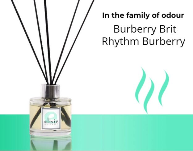 Burberry Brit Rhythm Burberry