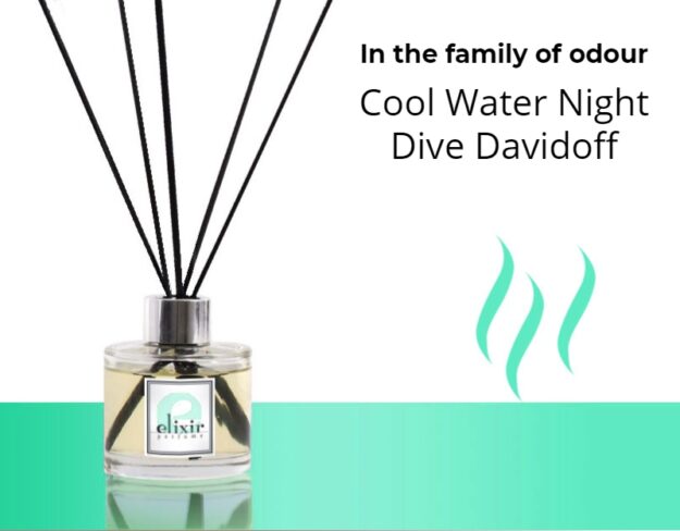 Cool Water Night Dive Davidoff