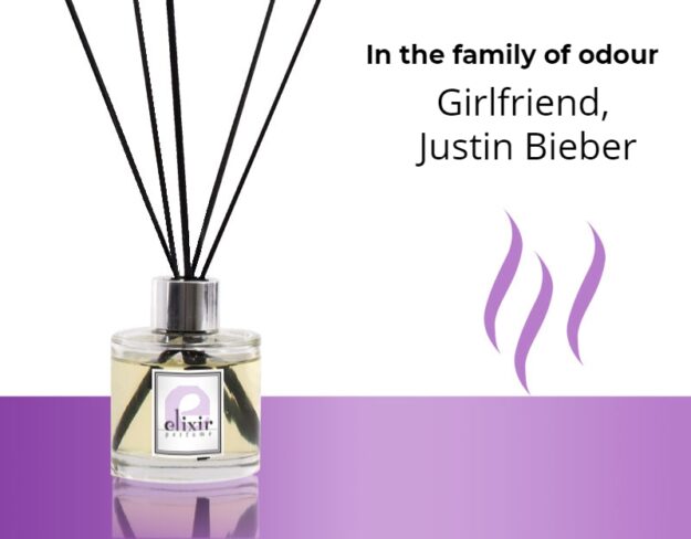 Girlfriend, Justin Bieber