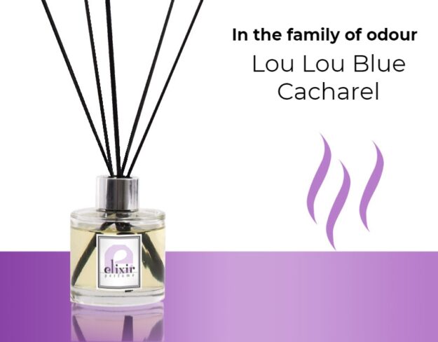 Lou Lou Blue Cacharel