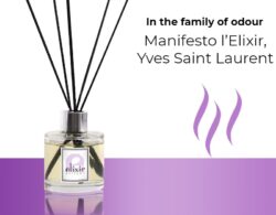 Manifesto l’Elixir, Yves Saint Laurent