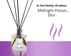 Midnight Poison, Dior