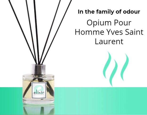 Opium Pour Homme Yves Saint Laurent