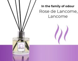 Rose de Lancome, Lancome