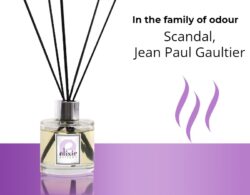 Scandal, Jean Paul Gaultier