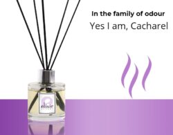 Yes I am, Cacharel