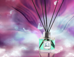 Unisex Home Fragrance