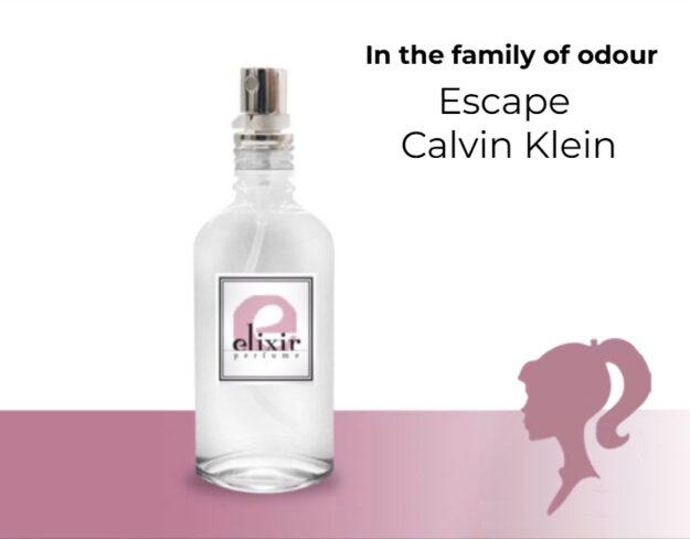 Escape Calvin Klein