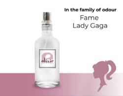 Fame Lady Gaga