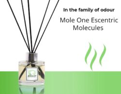 Mole One Escentric Molecules