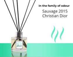 Sauvage 2015 Christian Dior