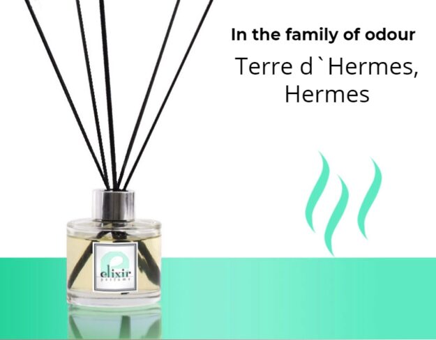 Terre d`Hermes, Hermes