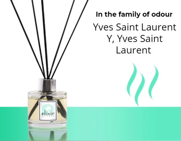 Yves Saint Laurent Y, Yves Saint Laurent