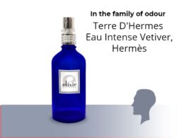 Άρωμα Τύπου Terre D'Hermes Eau Intense Vetiver, Hermès