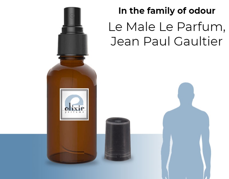 Le Male Le Parfum - Jean Paul Gaultier