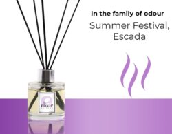 Summer Festival, Escada