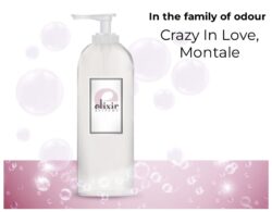 Crazy In Love, Montale