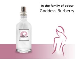 Goddess Burberry