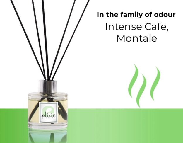 Intense Cafe, Montale