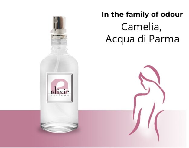 Camelia, Acqua di Parma