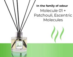 Molecule 01 + Patchouli, Escentric Molecules