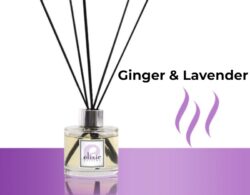 Ginger & Lavender