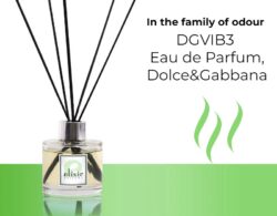DGVIB3 Eau de Parfum, Dolce&Gabbana