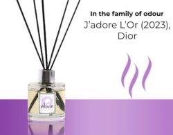 J’adore L’Or (2023), Dior