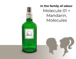 Molecule 01 + Mandarin, Molecules