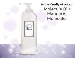 Molecule 01 + Mandarin, Molecules